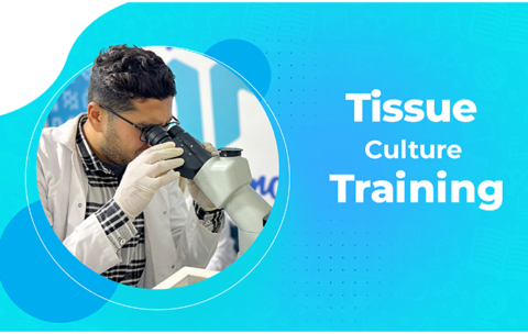 Tissue Culture Training