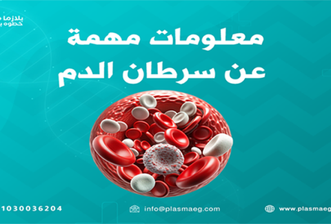 معلومات مهمة عن سرطان الدم